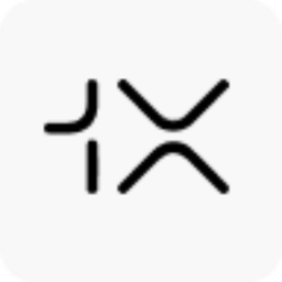 1X logo