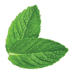 Aashita Vedaherbs logo