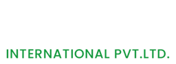 Aintize International logo