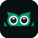 Andhamilla Nibunam logo