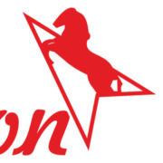 Areion Foundation logo