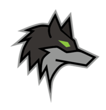 Dark Wolf Solutions logo