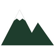 Everis logo