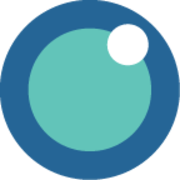 FloVision Solutions logo
