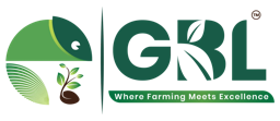 Gabani Brothers logo