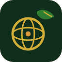 Nesha Global logo