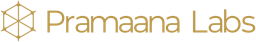 Pramaana Labs logo