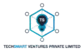Techsmart Ventures logo