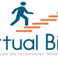 Virtual Binz logo