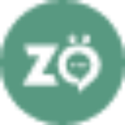 ZoTok logo